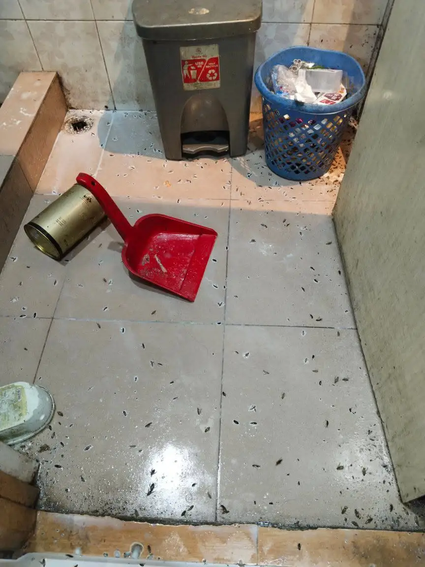 Mosquito control treatment outside a residential property in Dhaka